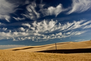 palouse-2-0085