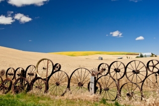 palouse-2-0194