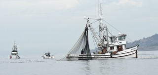 purse-seiner