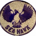 Sea Hawk Patch